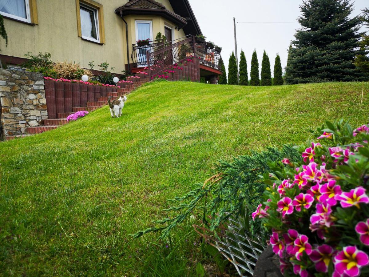 Swierkowy Zakatek Gorno  Esterno foto